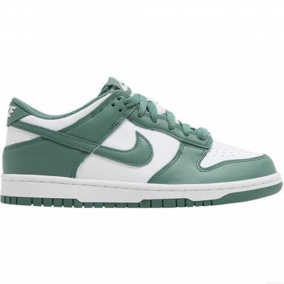 Nike Dunk Low Bicoastal (GS)