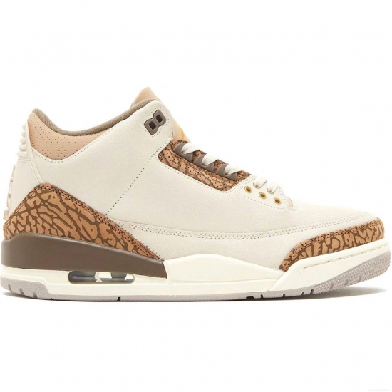 Jordan 3 Retro Palomino - Click Image to Close